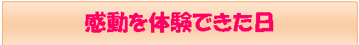 eLXg {bNX: ̌ł